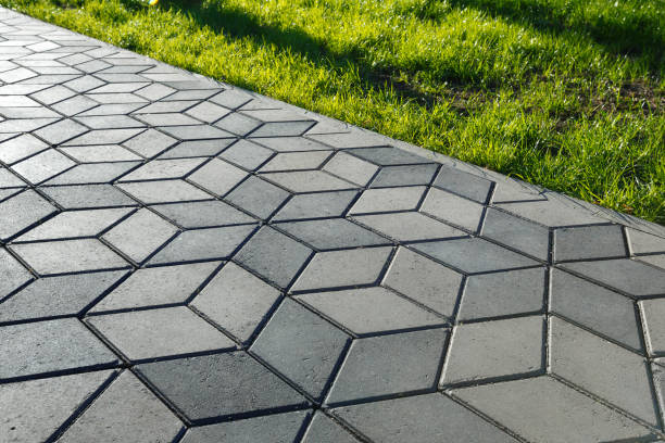 Best Driveway Pavers Near Me  in Trinidad, CO