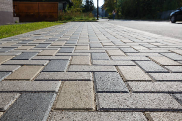 Best Driveway Pavers Near Me  in Trinidad, CO