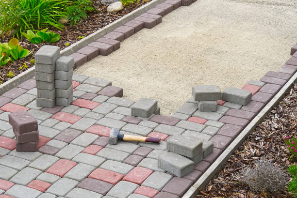 Best Driveway Pavers Near Me  in Trinidad, CO